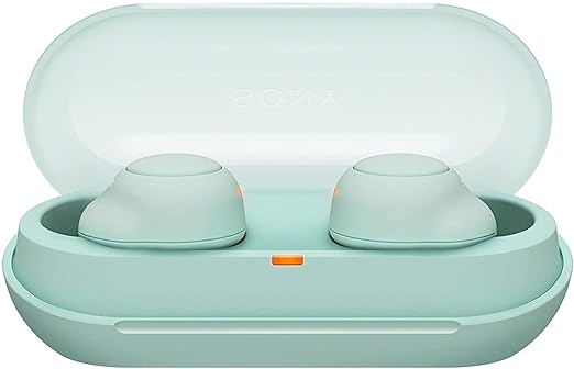 Sony WF-C500 Truly Wireless Bluetooth in Ear Earbuds