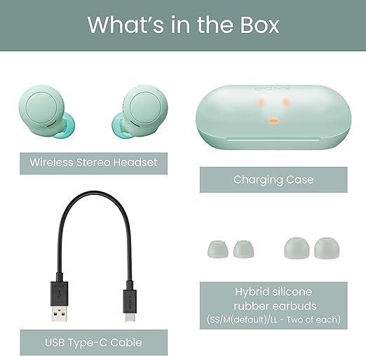 Sony WF-C500 Truly Wireless Bluetooth in Ear Earbuds