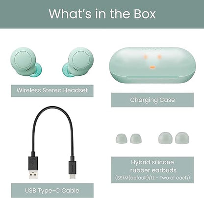 Sony WF-C500 Truly Wireless Bluetooth in Ear Earbuds